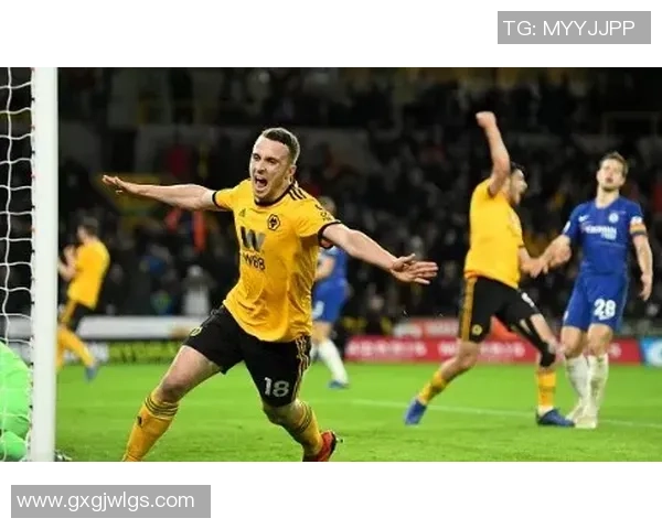 纽卡斯尔对阵狼队比赛进球数分析与预测展望